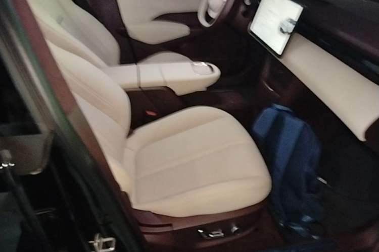 Used Zeekr X 2025 5-Seater Rear-Drive Version Right Front Seat
