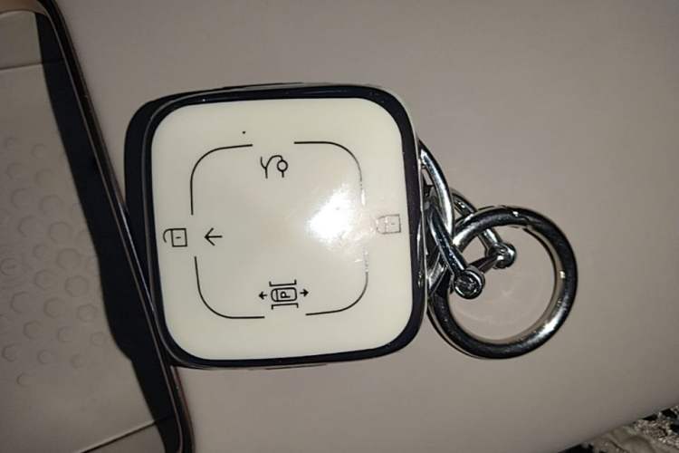 Used Zeekr X 2025 5-Seater Rear-Drive Version Vehicle Key