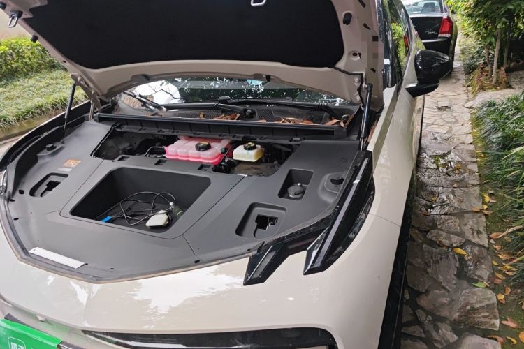 Used Zeekr X 2025 5-Seater Rear-Drive Version Engine Bay Left
