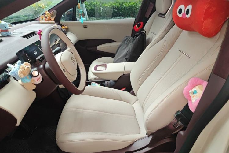 Used Zeekr X 2025 5-Seater Rear-Drive Version Left Front Seat