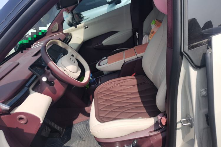 Used Zeekr X 2025 5-Seater Rear-Drive Version Left Front Seat