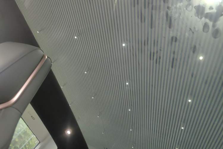 Used Zeekr X 2025 5-Seater Rear-Drive Version Headliner