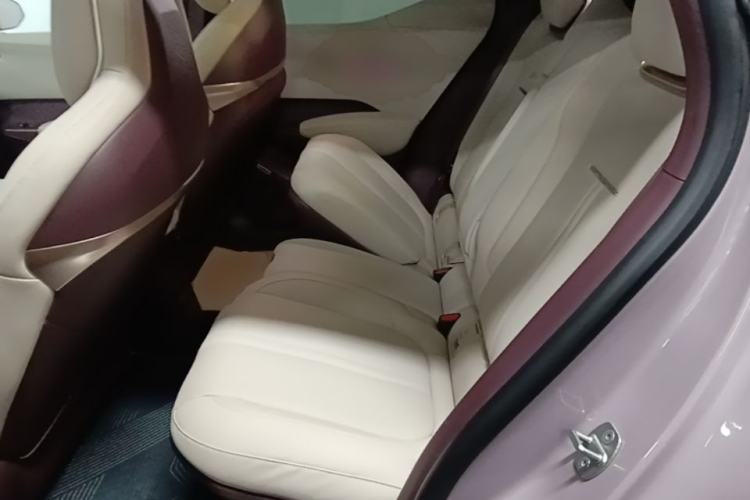 Used Zeekr X 2025 Four-Seater Rear-Drive Cube Version Left Rear Seat