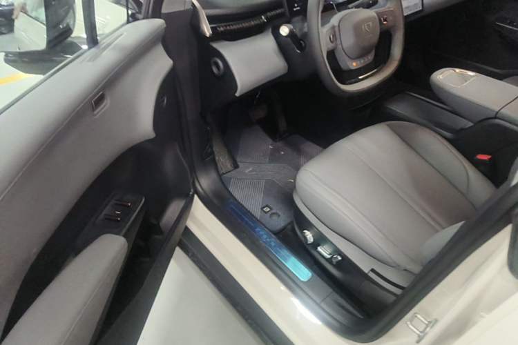 Used Zeekr X 2025 5-Seater Rear-Drive Version Driver Seat