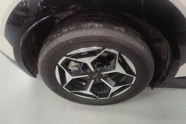 Used Zeekr X 2025 5-Seater Rear-Drive Version Exterior 5