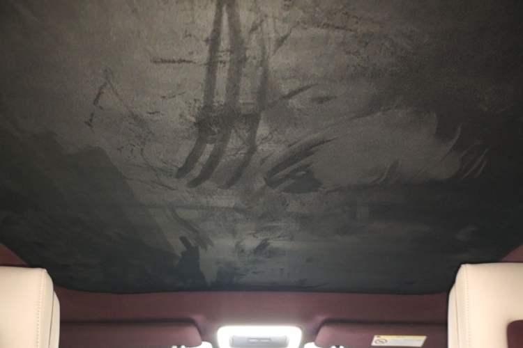 Used Zeekr X 2025 5-Seater Rear-Drive Version Headliner