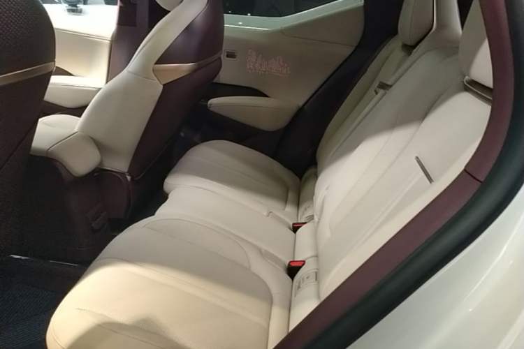 Used Zeekr X 2025 Four-Seater Rear-Drive Cube Version Left Rear Seat