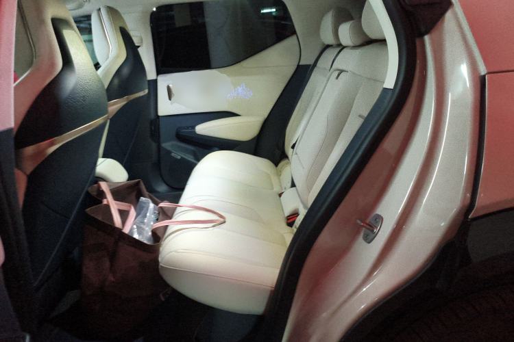 Used Zeekr X 2025 5-Seater Rear-Drive Version Left Rear Seat