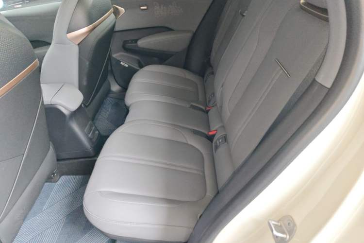 Used Zeekr X 2025 Four-Seater Rear-Drive Cube Version Left Rear Seat