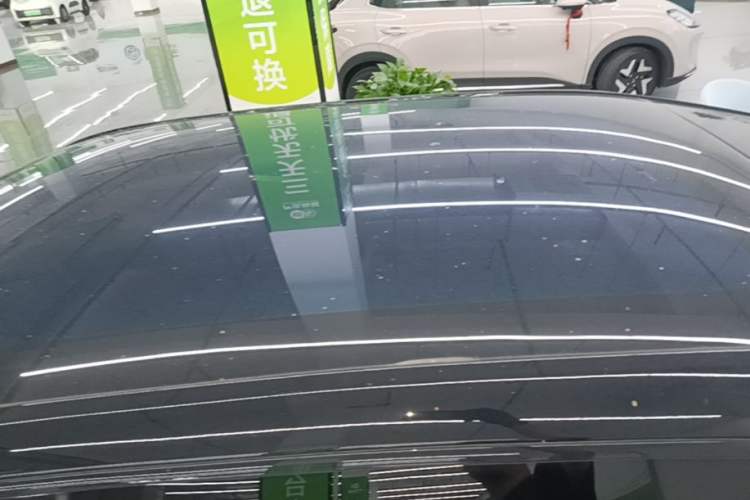 Used Zeekr X 2025 Four-Seater Rear-Drive Cube Version Roof
