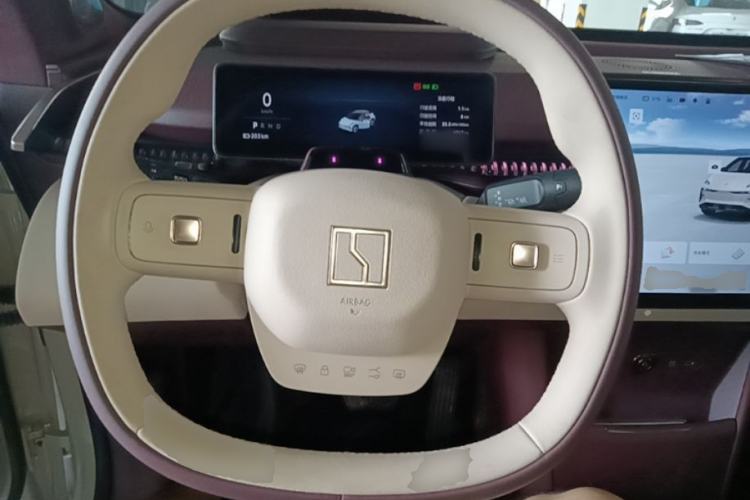 Used Zeekr X 2025 Four-Seater Rear-Drive Cube Version Steering Wheel