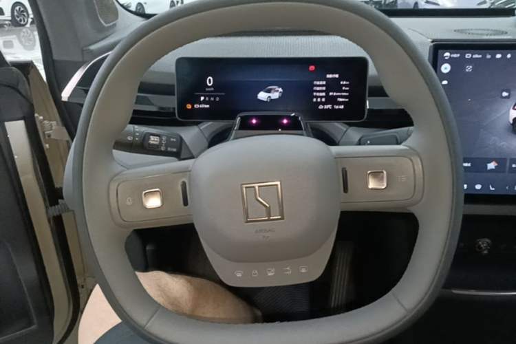 Used Zeekr X 2025 Four-Seater Rear-Drive Cube Version Steering Wheel