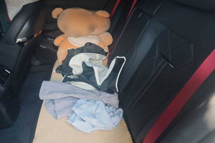 Used Zeekr X 2026 Ultra Five-Seat Edition Left Rear Seat