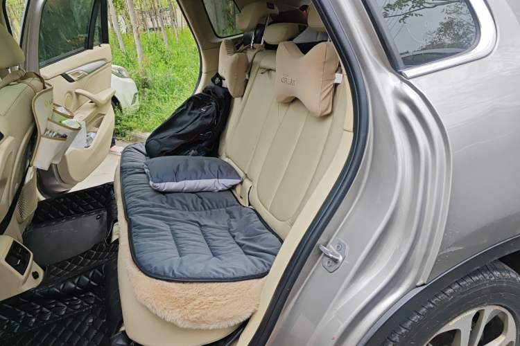 Used Zinoro 60H 2017 Standard Model Left Rear Seat