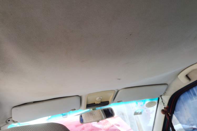 Used Zotye 5008 2008 1.3L Manual Standard Edition Headliner