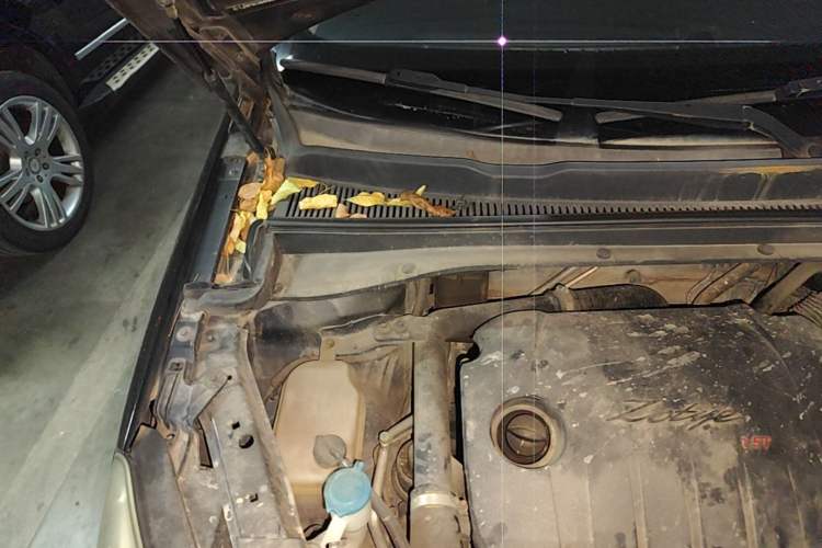 Used Zotye Domy X5 2015 1.5T CVT ZhiXian Model China IV Standard Engine Bay Right