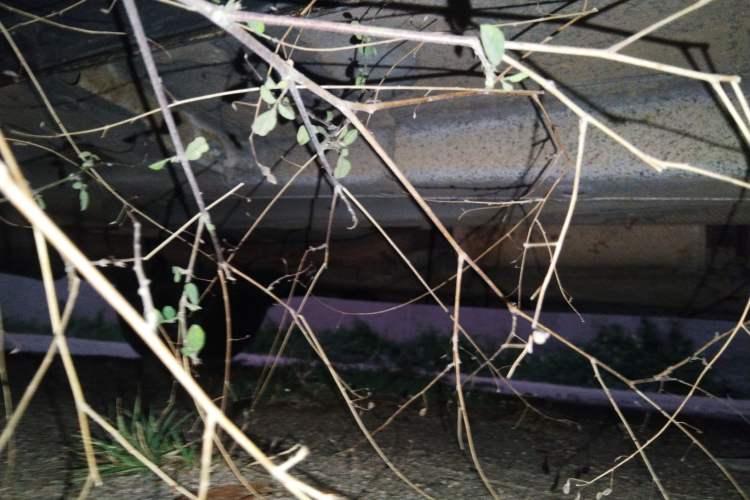 Used Zotye Domy X5 2015 1.5T Manual Luxury Version China IV Standard Chassis Rear Right