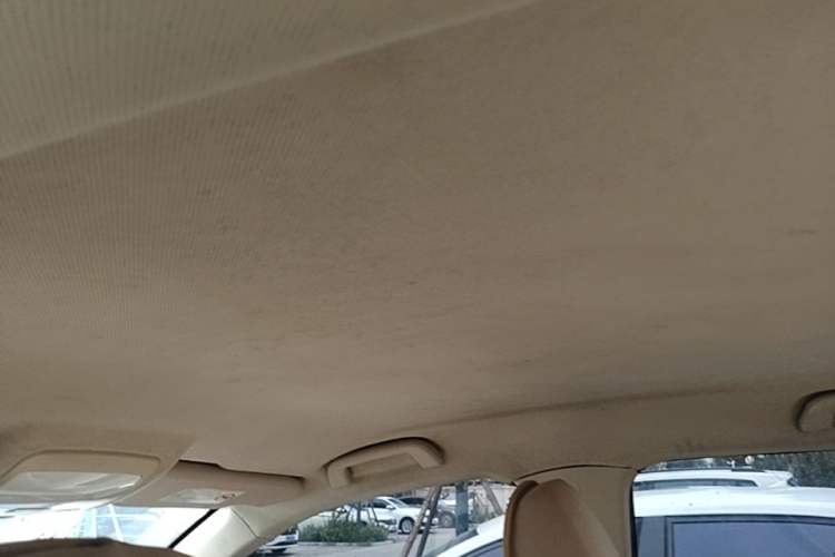 Used Zotye Domy X5 2017 Value Edition 1.6L Manual Comfort Model Headliner