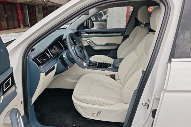 Used Zotye Domy X7 2017 2.0T DCT Ultimate Edition Left Front Seat