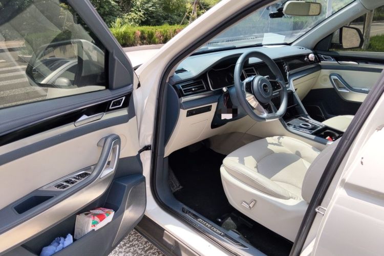 Used Zotye Domy X7 2018 2.0T Automatic Supreme Edition Driver Seat