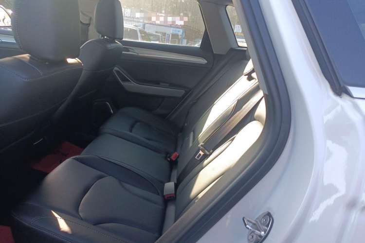 Used Zotye Domy X7 2018 2.0T Automatic Luxury Version Left Rear Seat