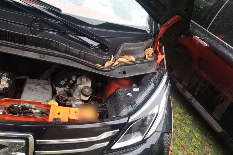 Used Zotye E200 2016 Three-Door Two-Seater Tech Edition Engine Bay Left