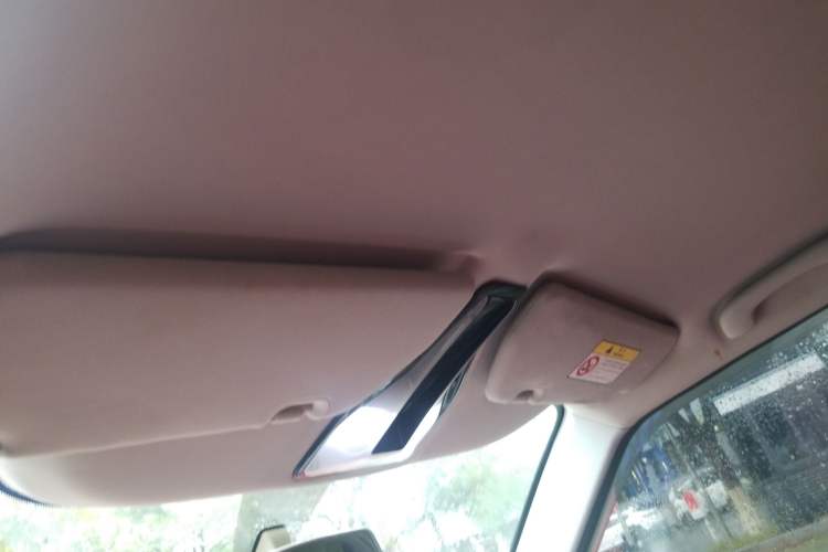 Used Zotye E200 2016 Three-Door Two-Seater Tech Edition Headliner