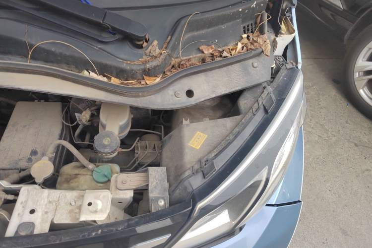Used Zotye E200 2016 Three-Door Two-Seater Tech Edition Engine Bay Left