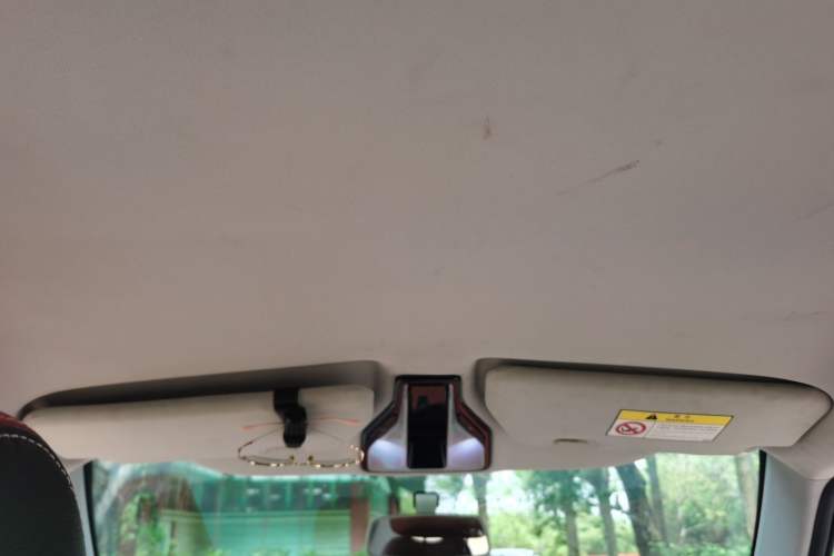 Used Zotye E200 2016 Three-Door Two-Seater Tech Edition Headliner