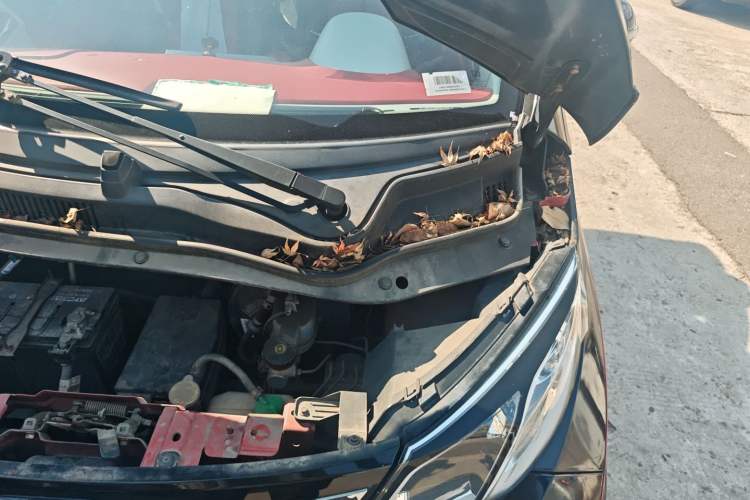 Used Zotye E200 2016 Three-Door Two-Seater Tech Edition Engine Bay Left
