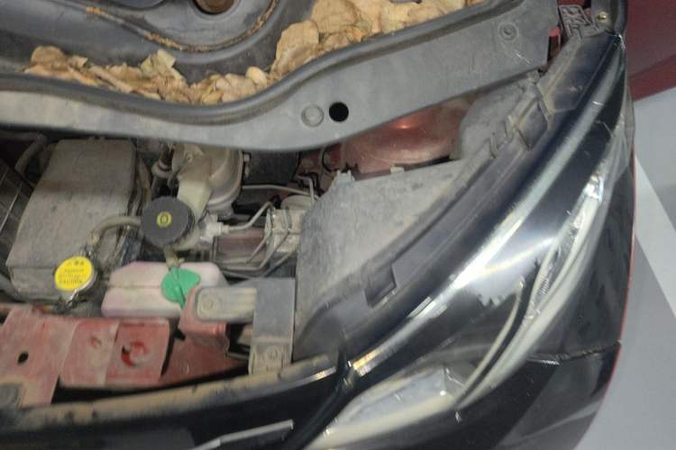 Used Zotye E200 2016 Three-Door Two-Seater Tech Edition Engine Bay Left