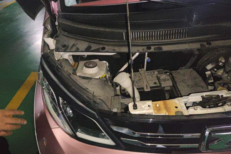 Used Zotye E200 2016 Three-Door Two-Seater Tech Edition Engine Bay Right
