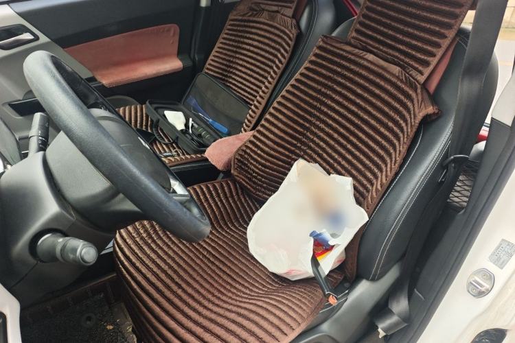Used Zotye E200 2016 Three-Door Two-Seater Tech Edition Left Front Seat