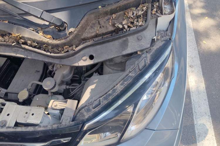 Used Zotye E200 2018 Flying Fish Model Engine Bay Left