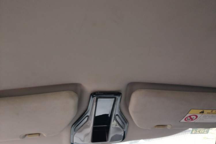Used Zotye E200 2018 Flying Fish Model Headliner