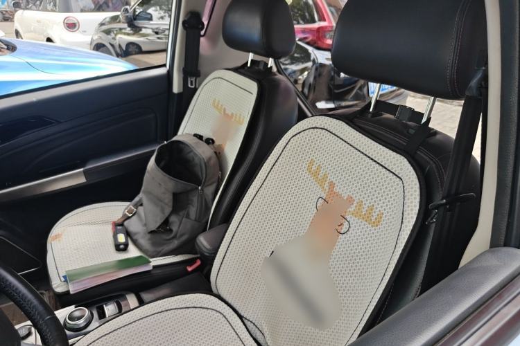 Used Zotye E200 2018 Pro Model Left Rear Seat