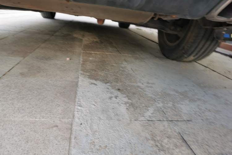 Used Zotye SR9 2017 2.0T Manual "Ultimate Heart" Edition Chassis Rear