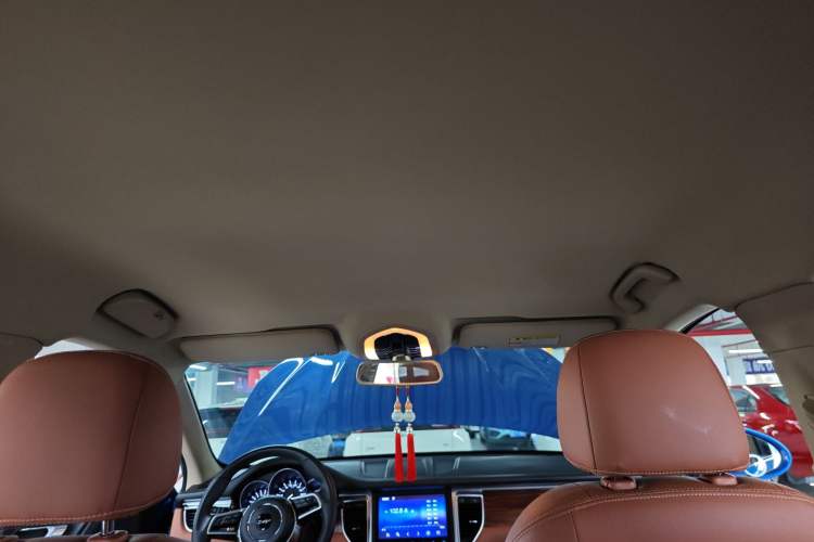 Used Zotye SR9 2017 2.0T Automatic Ultimate Road Edition Headliner