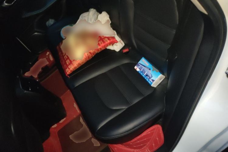 Used Zotye SR9 2017 2.0T Automatic Ultimate Edition Left Rear Seat