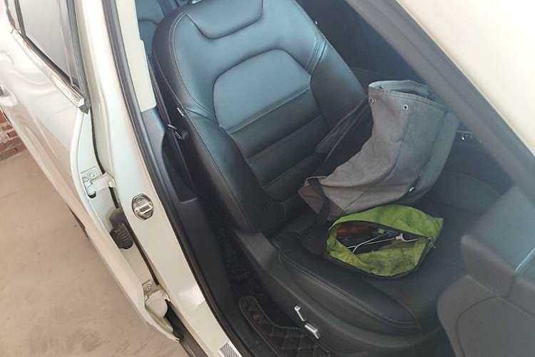 Used Zotye SR9 2017 2.0T Automatic Ultimate Edition Right Front Seat