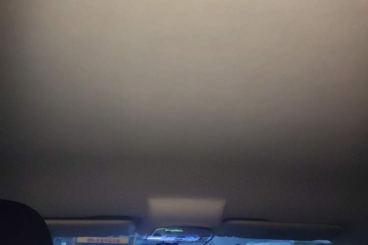 Used Zotye T300 2019 1.5L Manual "Xiao Qiang" Edition Headliner