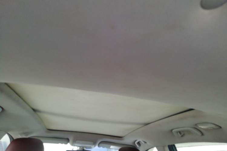 Used Zotye T600 2014 2.0T DCT Luxury Version Headliner