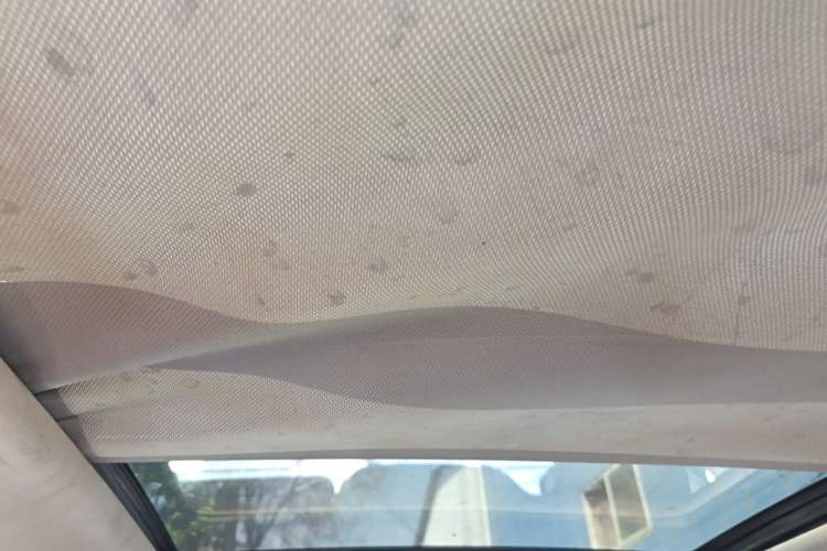 Used Zotye T600 2014 2.0T DCT Luxury Version Headliner
