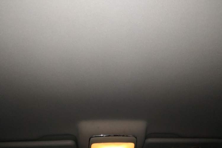 Used Zotye T600 2014 2.0T DCT Luxury Version Headliner