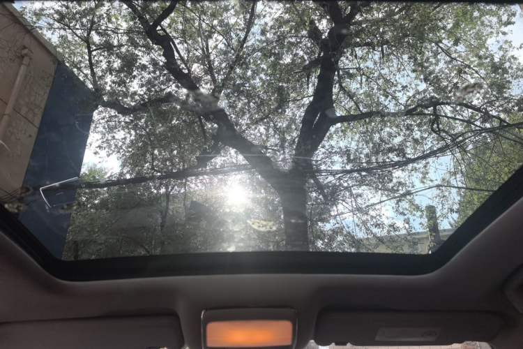 Used Zotye T600 2014 2.0T DCT Luxury Version Headliner