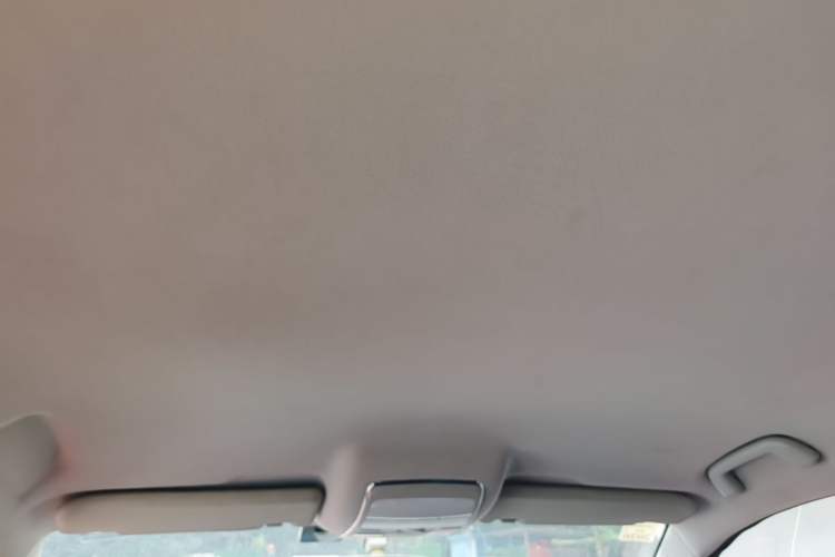 Used Zotye T600 2015 2.0T DCT Luxury Version Headliner