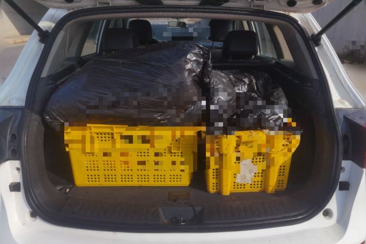 Used Zotye T600 2015 1.5T Manual Luxury Model Trunk