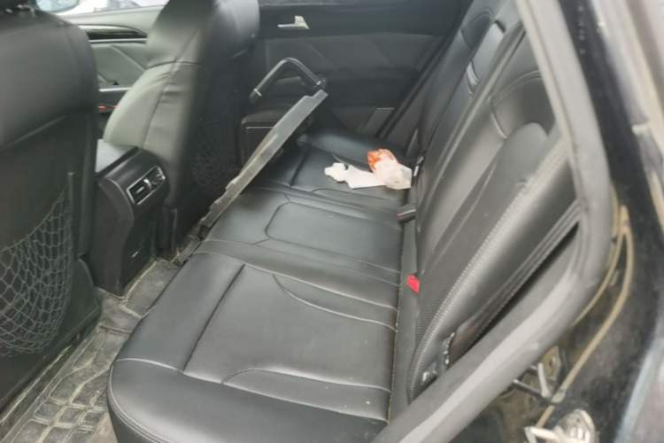 Used Zotye T600 2016 Sport Edition 2.0T DCT Prestige Model Left Rear Seat