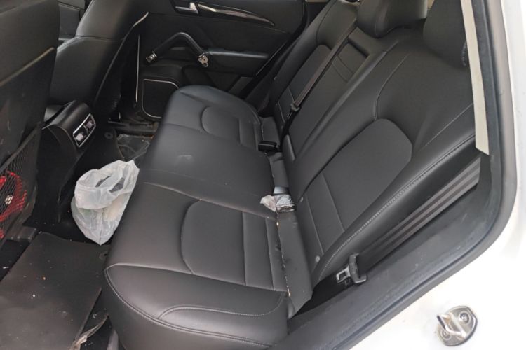 Used Zotye T600 2016 Sports Edition 1.5T Manual Luxury Model Left Rear Seat