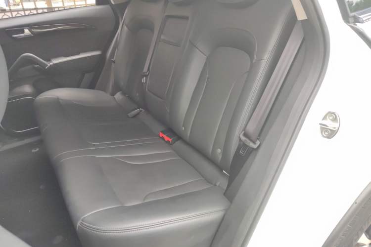Used Zotye T600 2016 Sport Edition 2.0T DCT Luxury Model Left Rear Seat